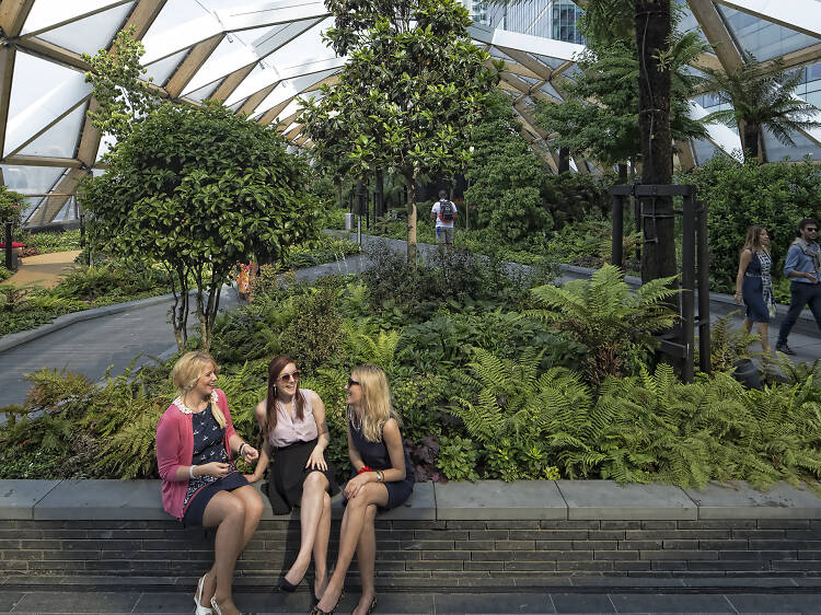 Admire the historical planting at Crossrail Place Gardens