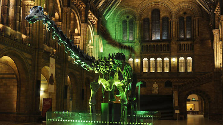 natural history museum silent disco