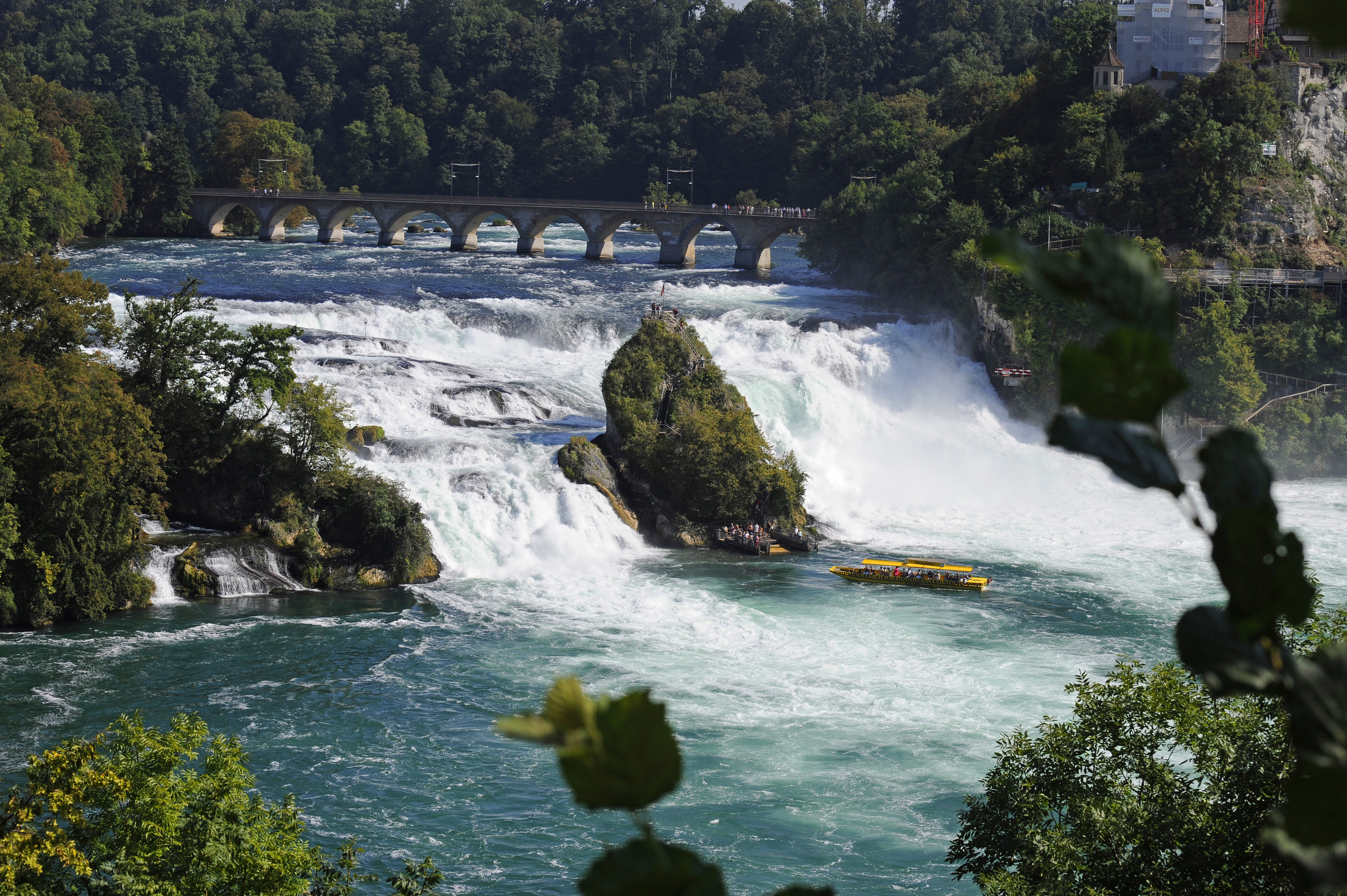 rhine falls boat ride