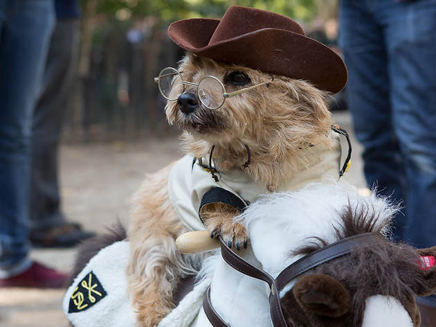Tompkins Square Park Halloween Dog Parade Tompkins Square Park Halloween Dog Parade