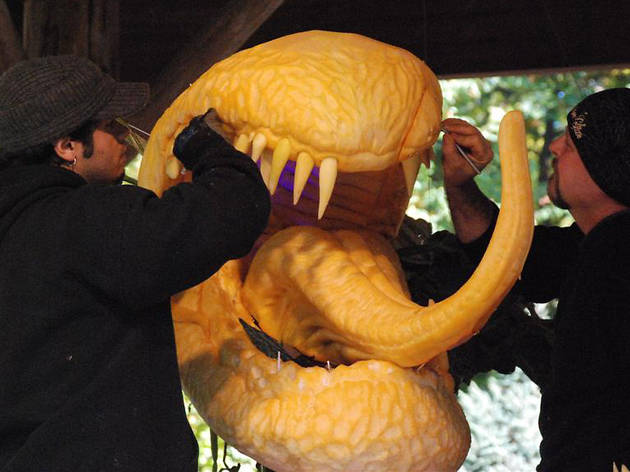 Giant Pumpkin Carving Weekend Giant Pumpkin Carving Weekend