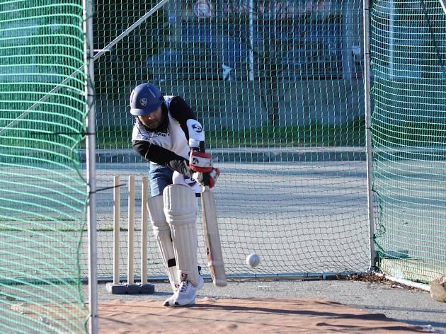 Cricket Cricket