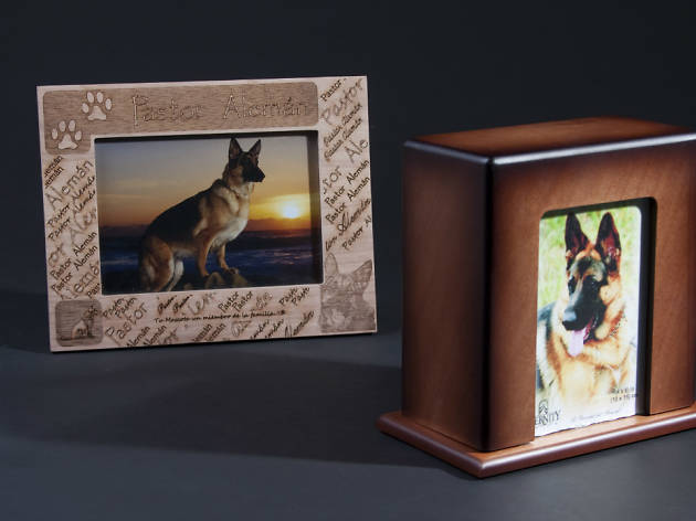 Funeral Pet Funeral Pet
