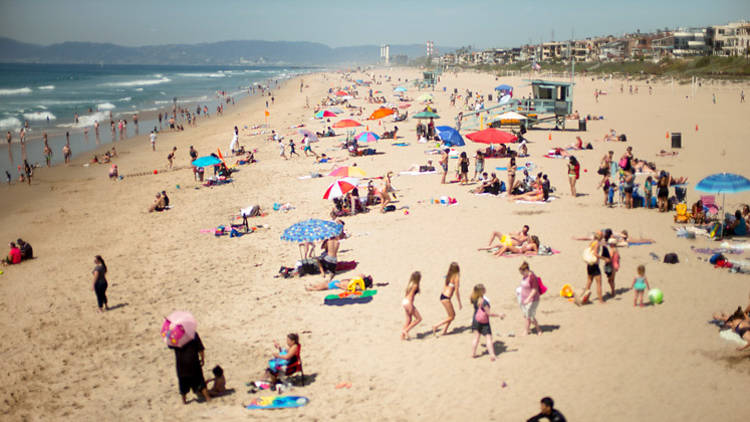 Manhattan Beach