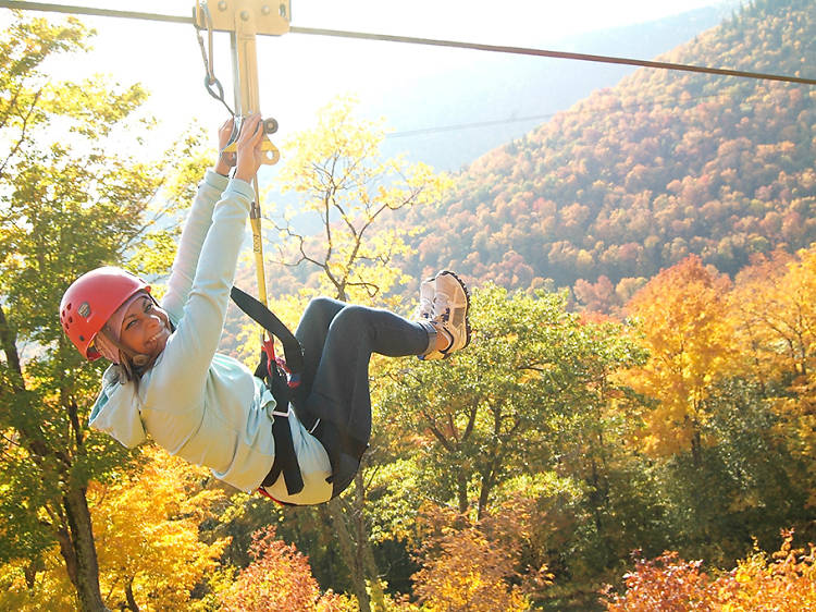 New York: Zoom along a zip line