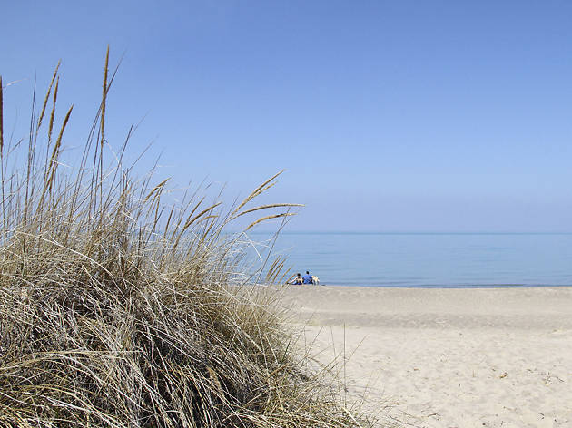 Indiana Dunes Indiana Dunes