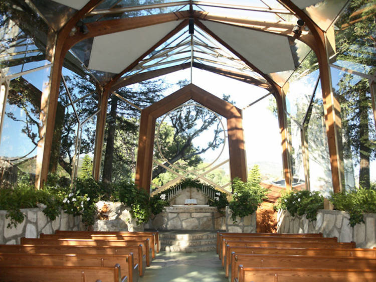 California: Worship nature at the “tree chapel”