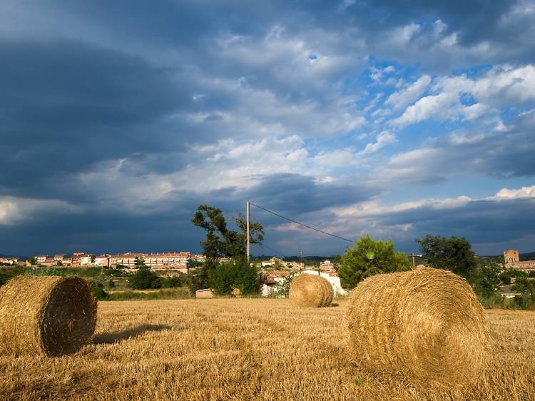 Afternoon day 1: A walk around Gironella 