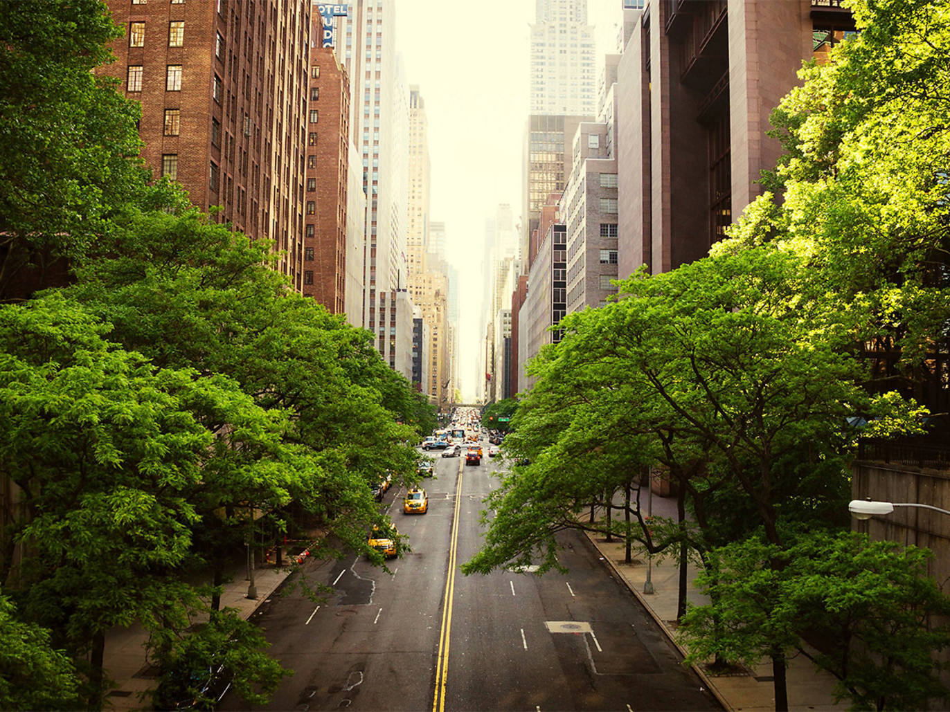 See beautiful photos of New York in summer