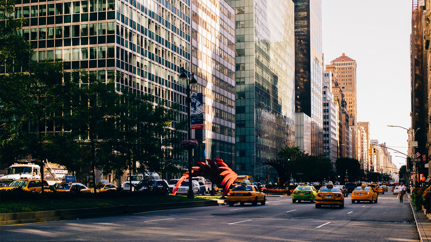 See beautiful photos of New York in summer