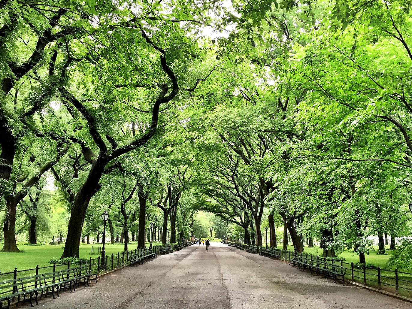 See beautiful photos of New York in summer