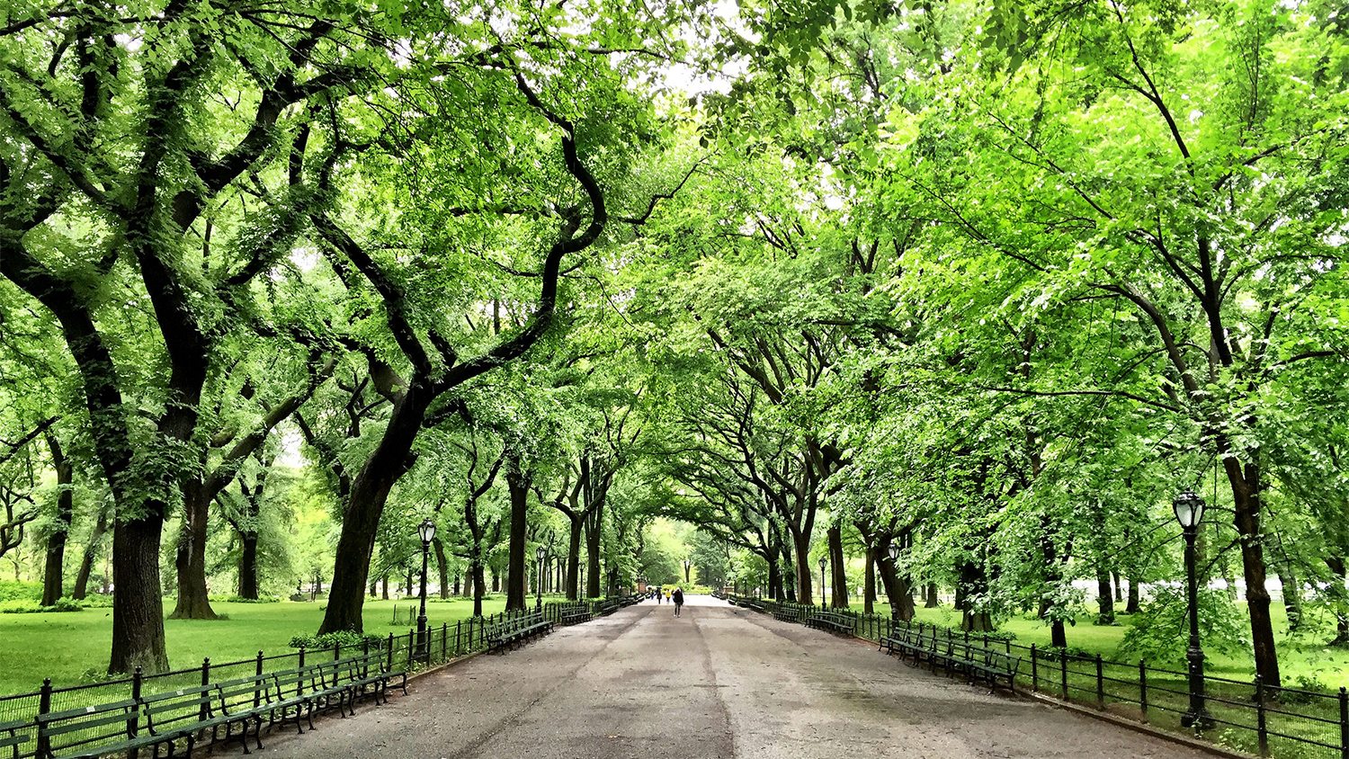 Eco-friendly things to do in NYC including garden tours