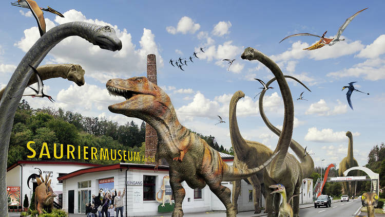 Aathal Dinosaur Museum