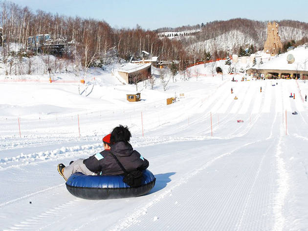 Takino Suzuran Hillside Park, Sapporo Takino Suzuran Hillside Park, Sapporo | Time Out Tokyo