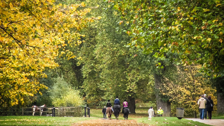 Dating timeout London