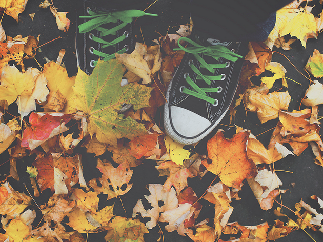 Automne Automne