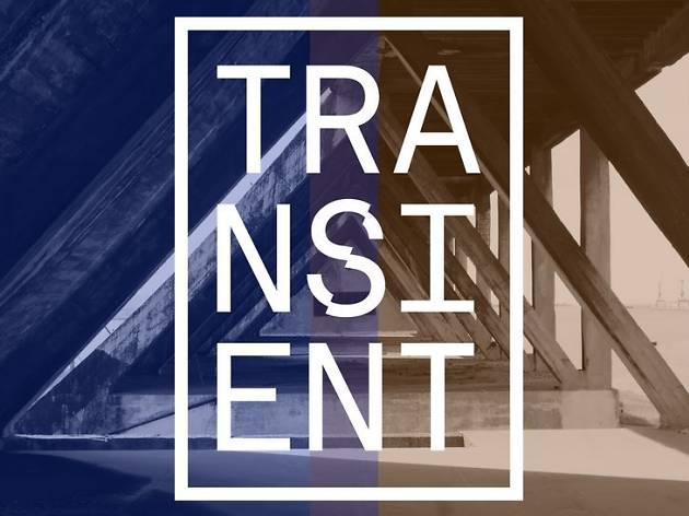 transient festival logo transient festival logo