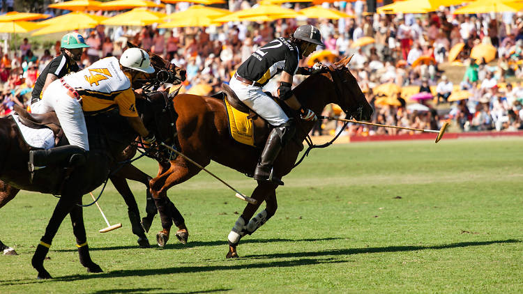 Polo Classic Veuve Clicquot