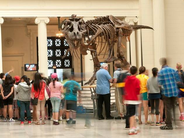 'Women of Vision: National Geographic Photographers on Assignment' T. Rex SUE at the Field Museum
