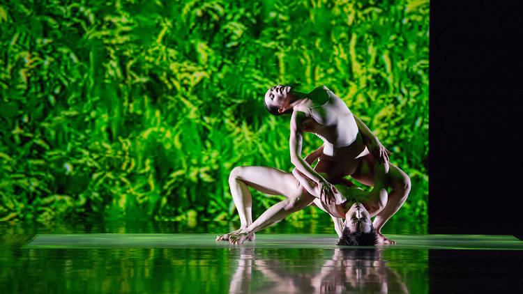 Cloud Gate Dance Theatre: Rice