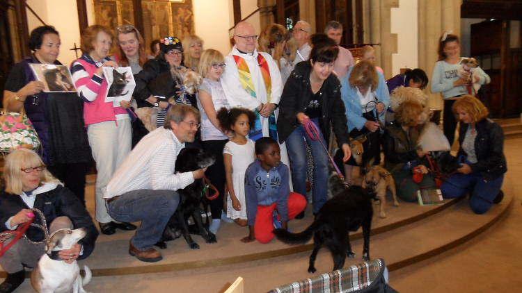 Animal Blessing and Thanksgiving Service for Pets