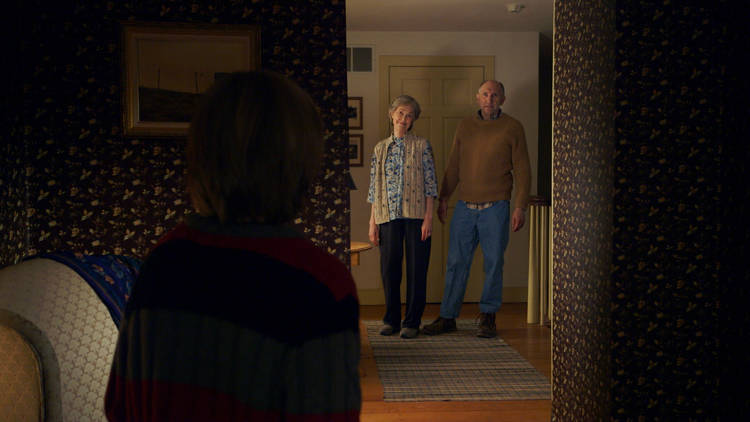 the visit 2015 synopsis