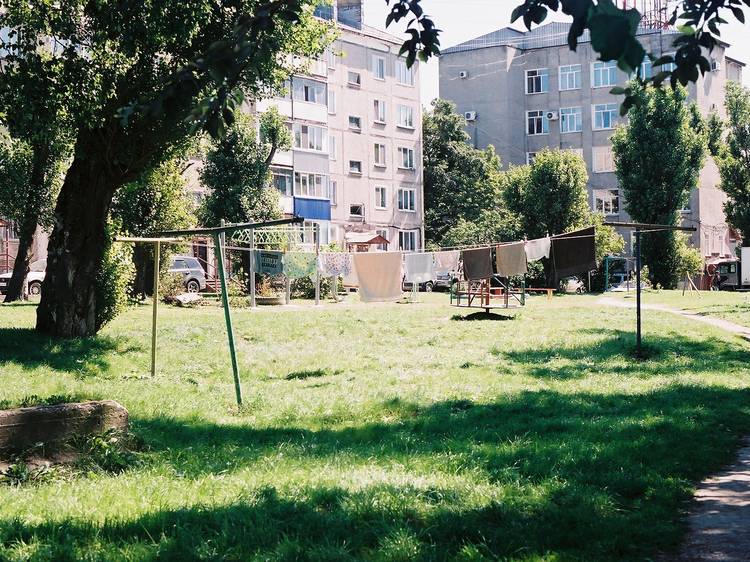 Have a picnic in a khrushchyovka yard