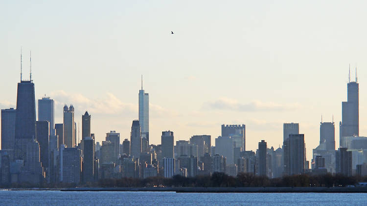 Chicago's skyline just plain dominates.