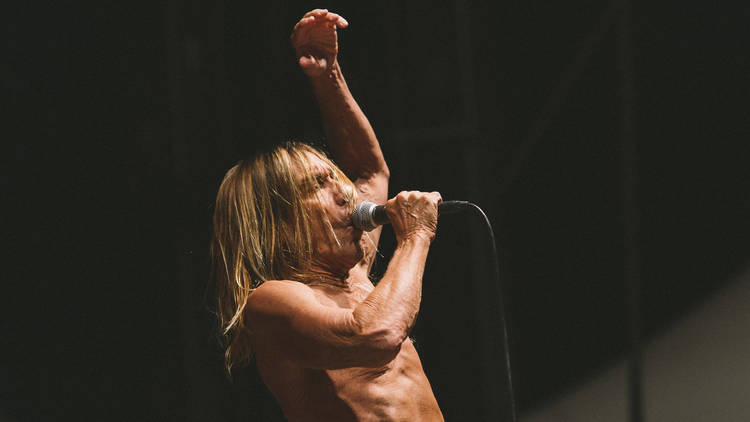 iggy pop