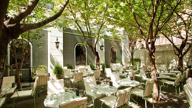 Best shop outdoor restaurants