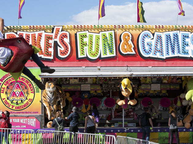 Punks and rockers gathered in Douglas Park for the final day of Riot Fest, September 13, 2015.