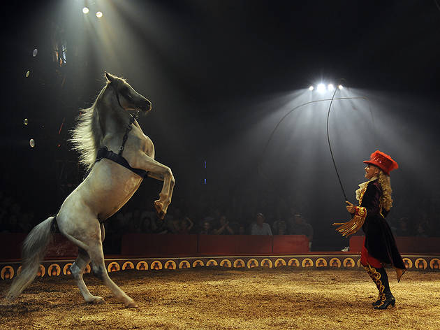 free for apple download Circus Electrique