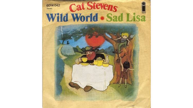 'Wild World' - Cat Stevens