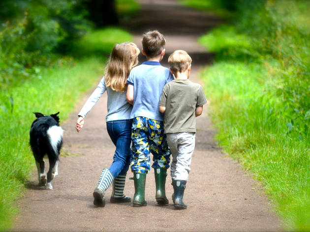 Kids in Epping Forest