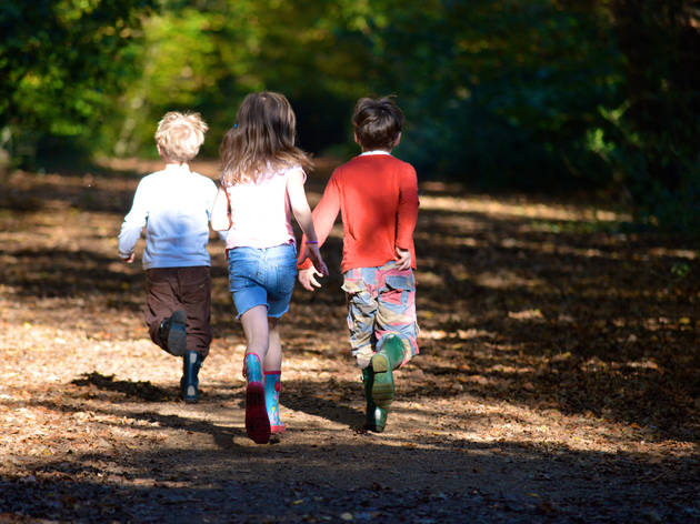  (© Yvette Woodhouse)