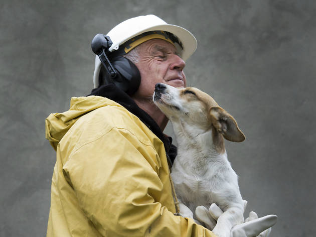 rescate Un señor rescata a un perro.