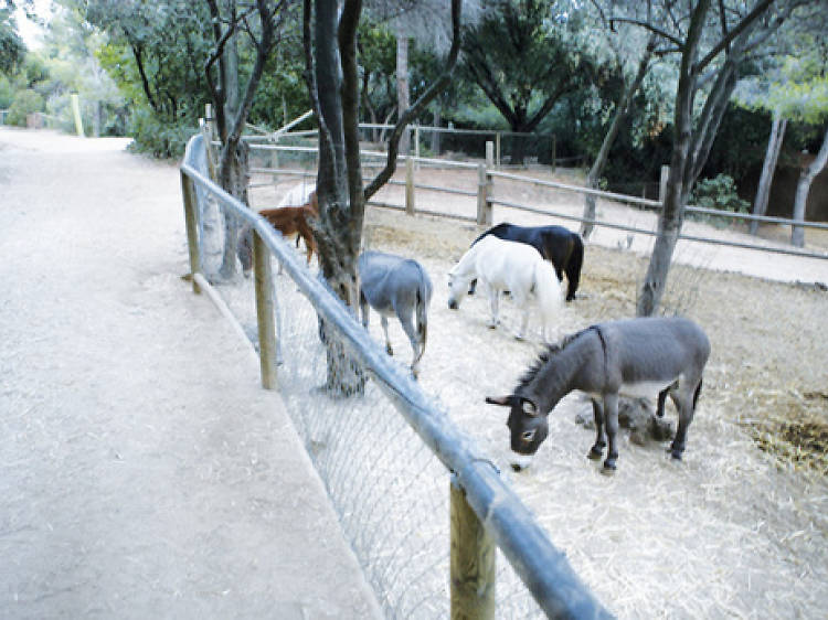 Parc de l'Oreneta