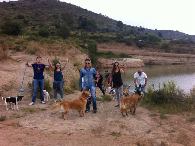 (Foto: Cortesía Dog Scouts)