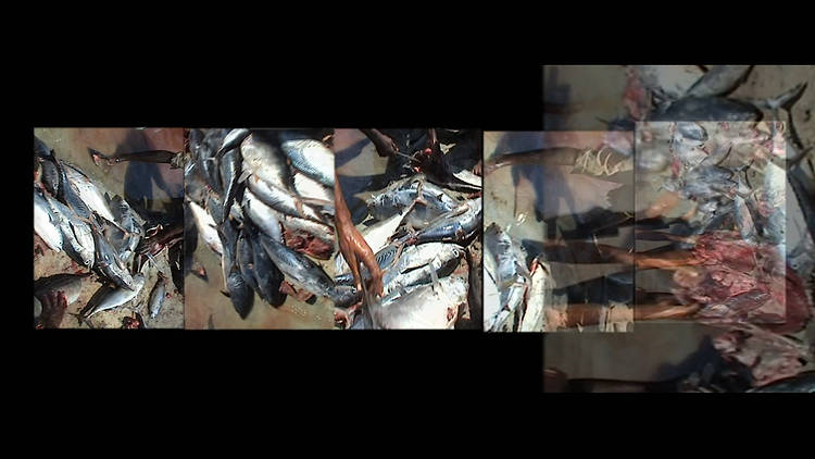 Installation vidéo « Draw this world », 2015