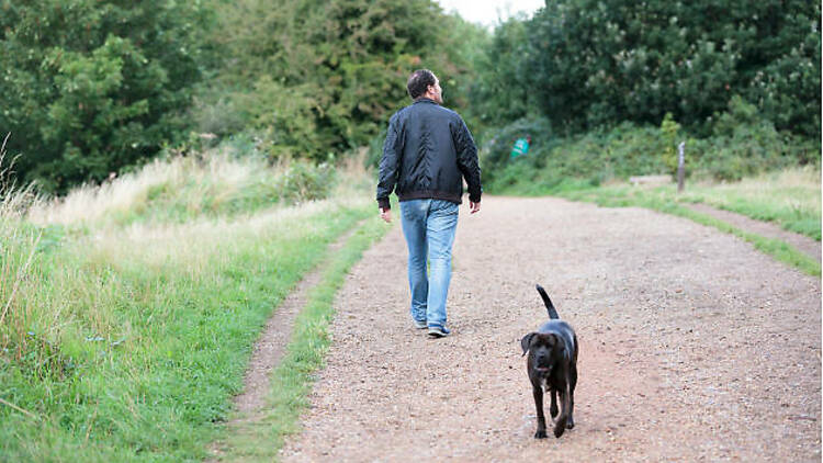 Parkland Walk