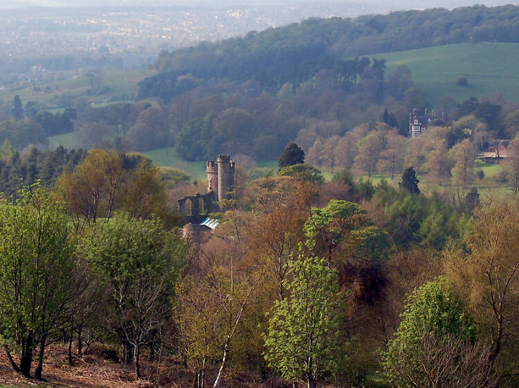 The best autumnal walks in and around Birmingham