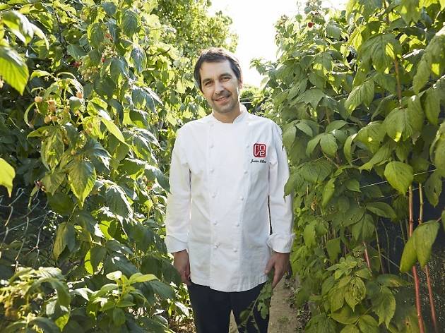 Chef Culler de Pau Chef Culler de Pau