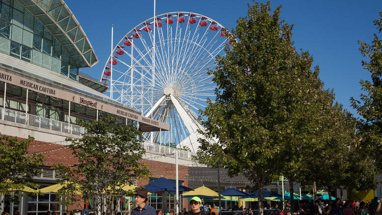 Navy Pier