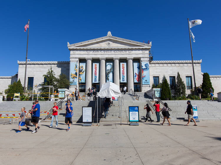 Shedd Aquarium