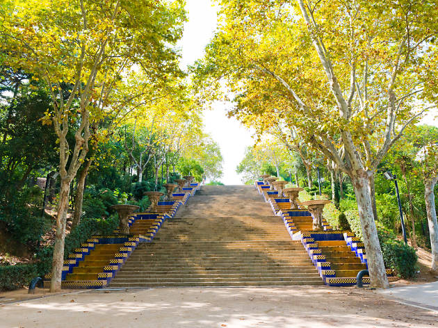 Plataners, Montjuïc Plataners a Montjuïc