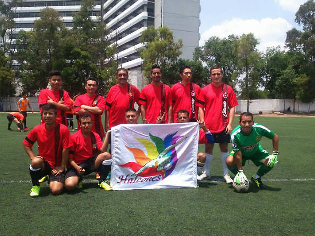 Halcones México Halcones México, futbol