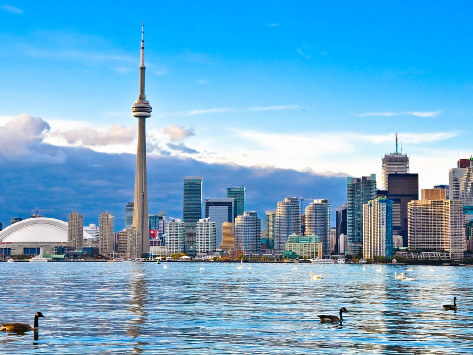 Toronto City Skyline 3D Model Matte White 4.5 Inches