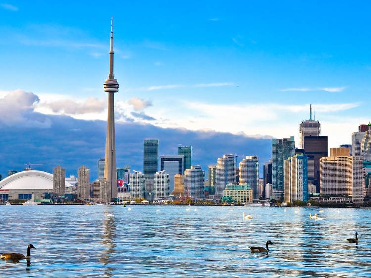 The best neighborhoods in Toronto