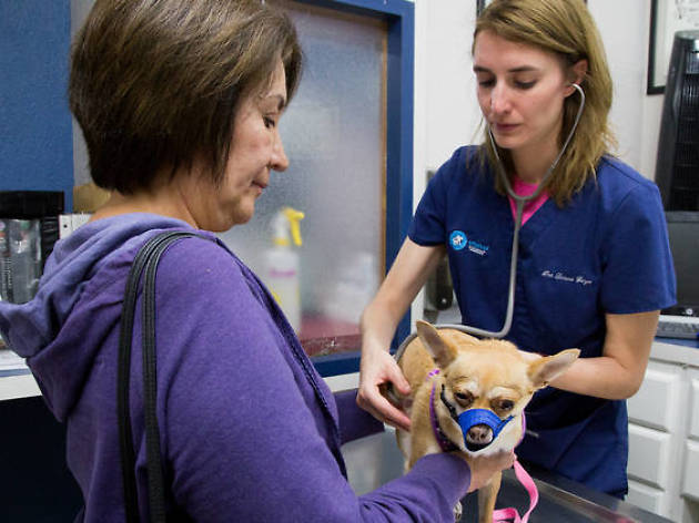 Hospital Veterinario Oftalvet Hospital Veterinario Oftalvet