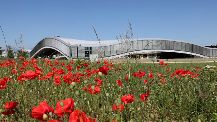 Rolex Learning Centre, Lausanne venue, Time Out Switzerland